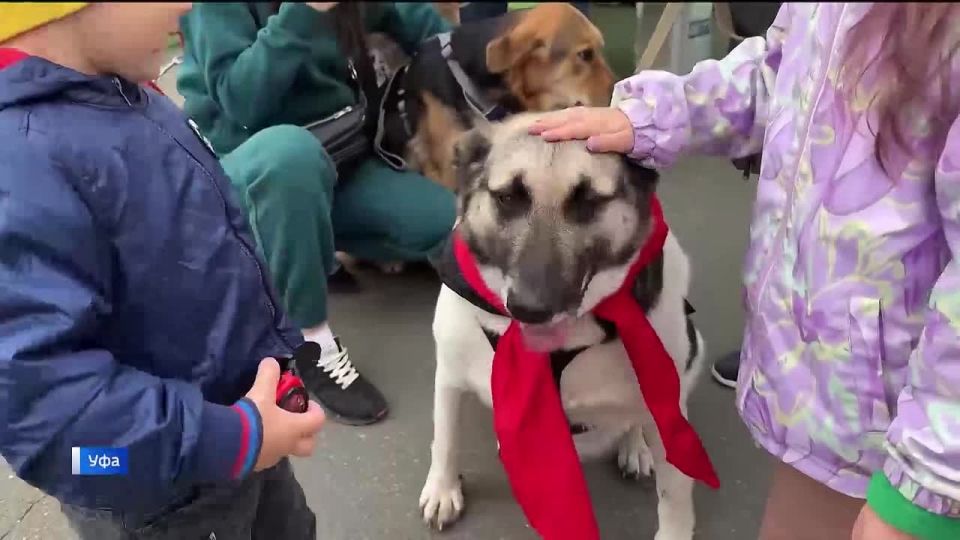 В Уфе прошла благотворительная акция «Ищу человека»