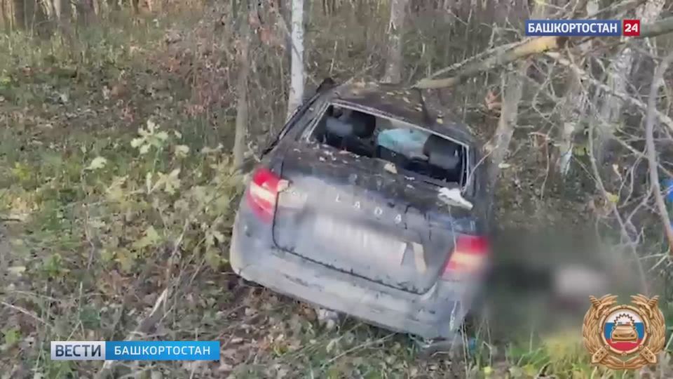 Водитель «Гранты» погиб после столкновения с лосем в Башкортостане: животное тоже погибло