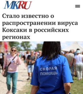         : ,    ,    ,     