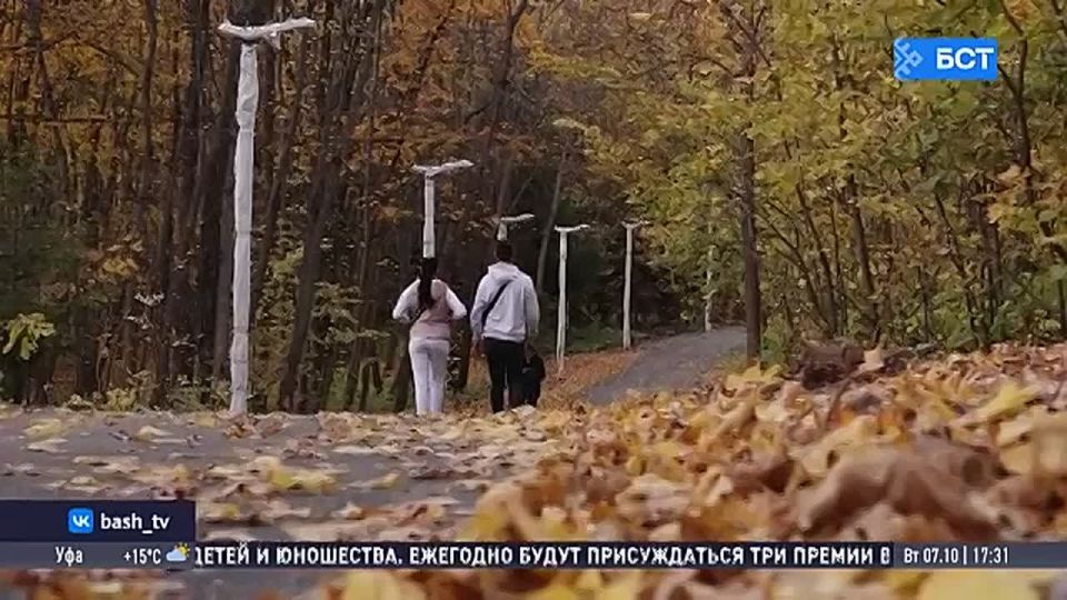 В Башкирии в октябре ждут активность клещей