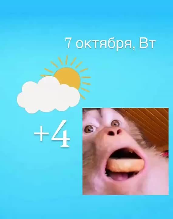 Доброе утро!. - чтобы день прошел удачно!