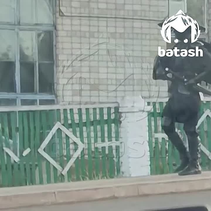 Последний самурай материализовался в Стерлибашево