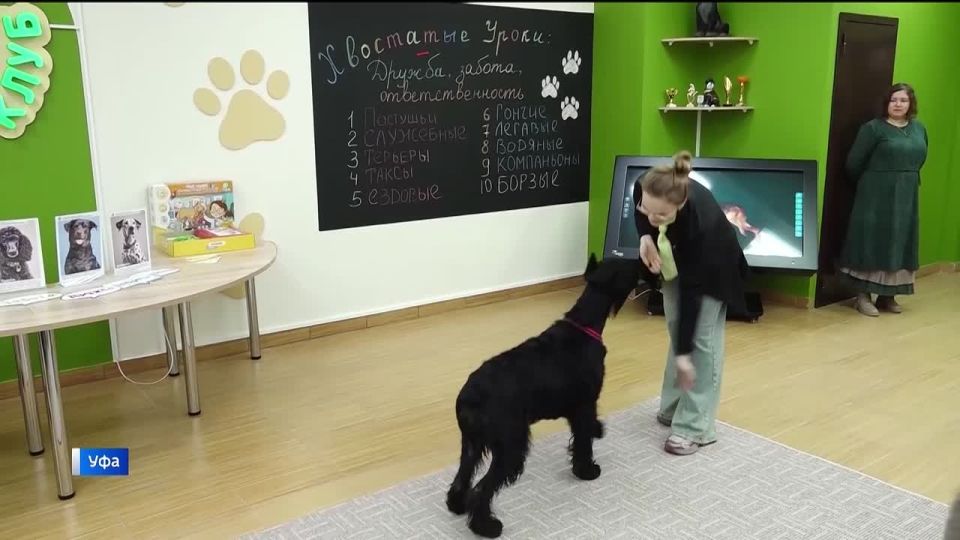 В Уфе открылся центр заботы о домашних животных "Пушистый клуб"