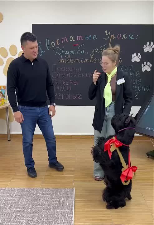 В Уфе открылся центр заботы о животных «Пушистый Клуб»