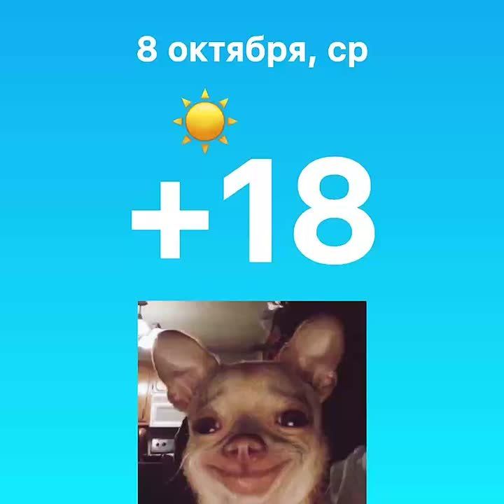 Тепло и солнечно будет сегодня в Уфе