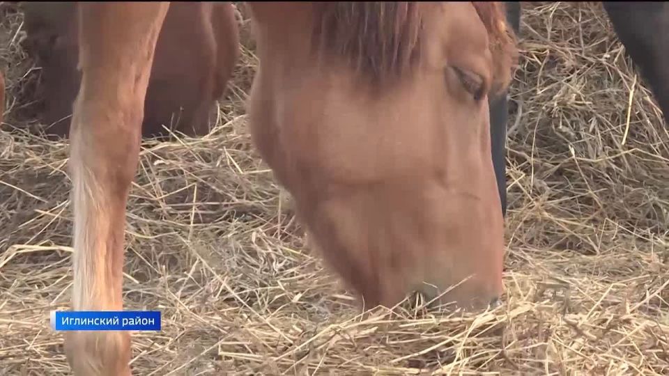 В Уфе организовали уникальные курсы для участников СВО