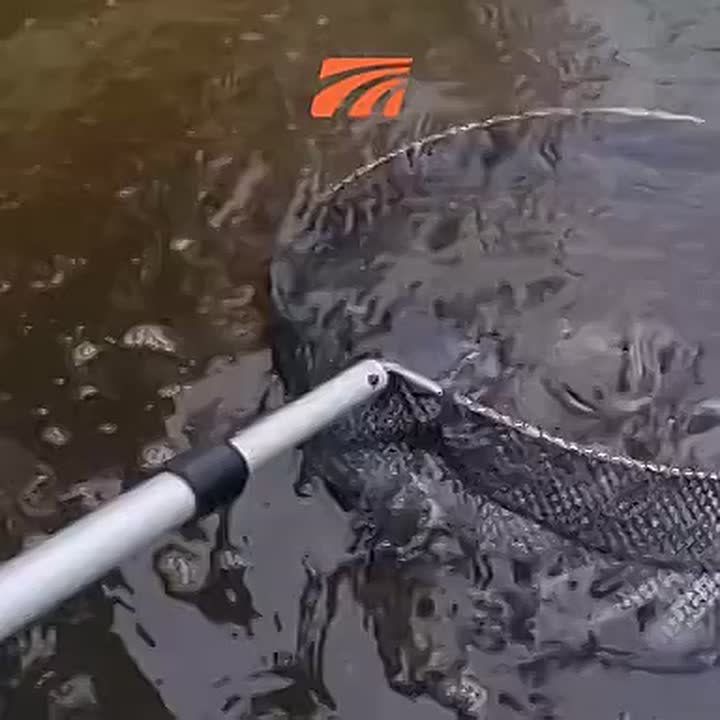 Свыше 1,2 тыс. мальков стерляди, выращенных на специализированном рыбоводческом предприятии, были выпущены в бассейн реки Оки Тульской области