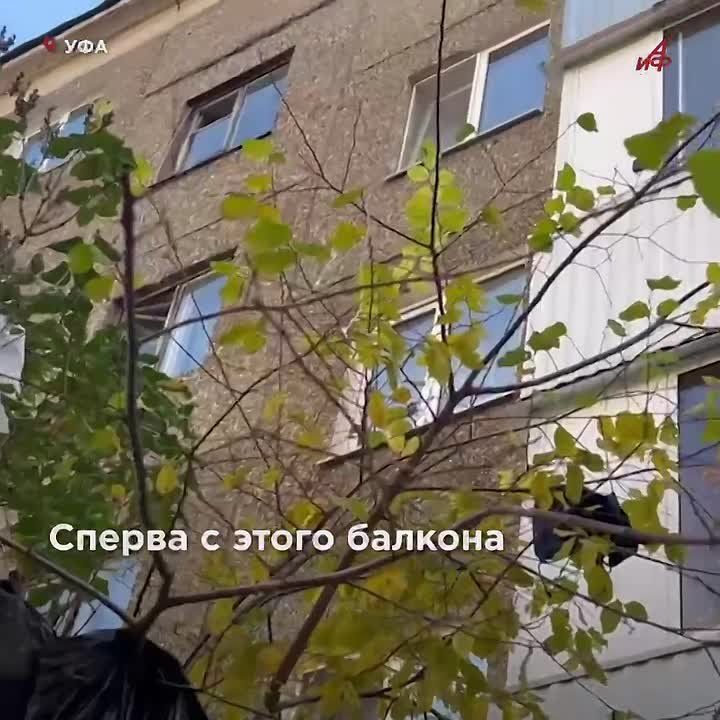 Выбросил дочку в окно: отец трёхлетней девочки перепутал её с мусором и разгромил квартиру в Уфе