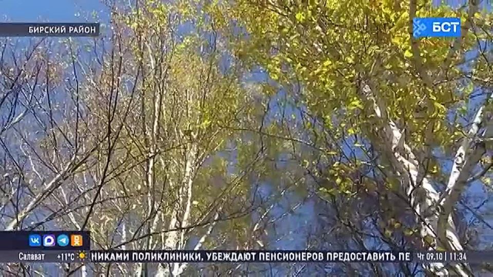 В Башкирии предприниматель расширила парк-отель благодаря грантам