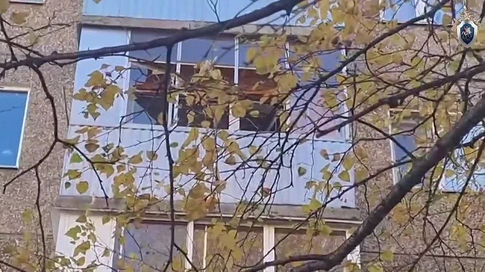 Мужчина, выбросивший дочь из окна четвёртого этажа в Уфе, сейчас в неадекватном состоянии, сообщил источник RT