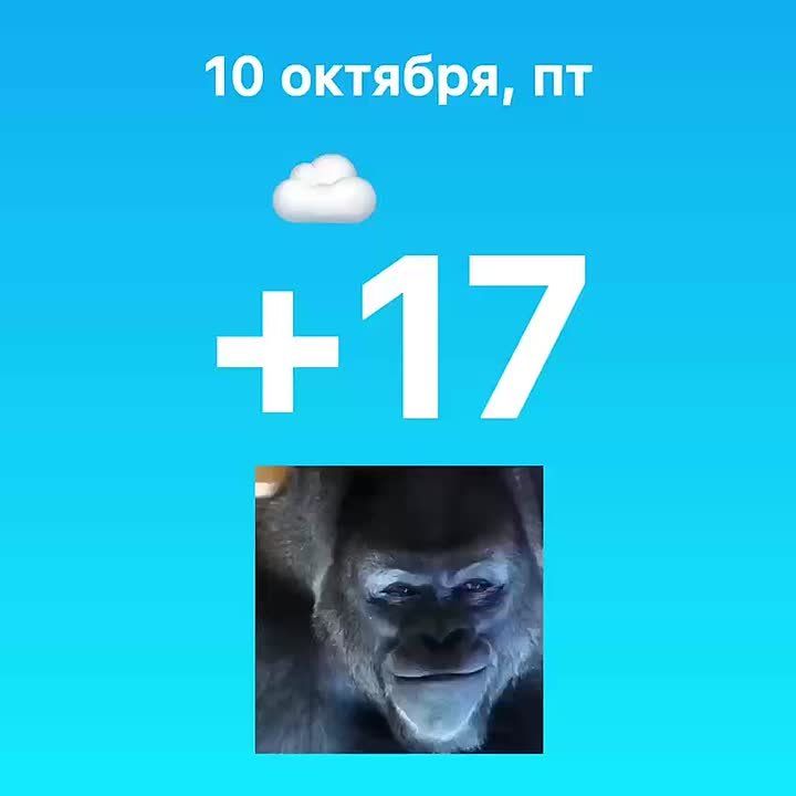 Всех с пятницей