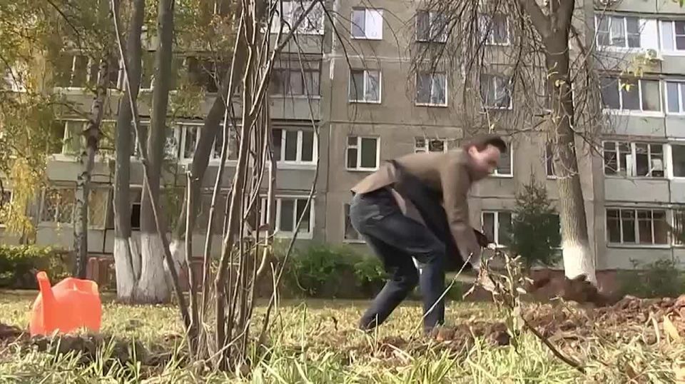 Рябиновая аллея «Всей Уфы»  перед нашим медиадомом на улице Авроры