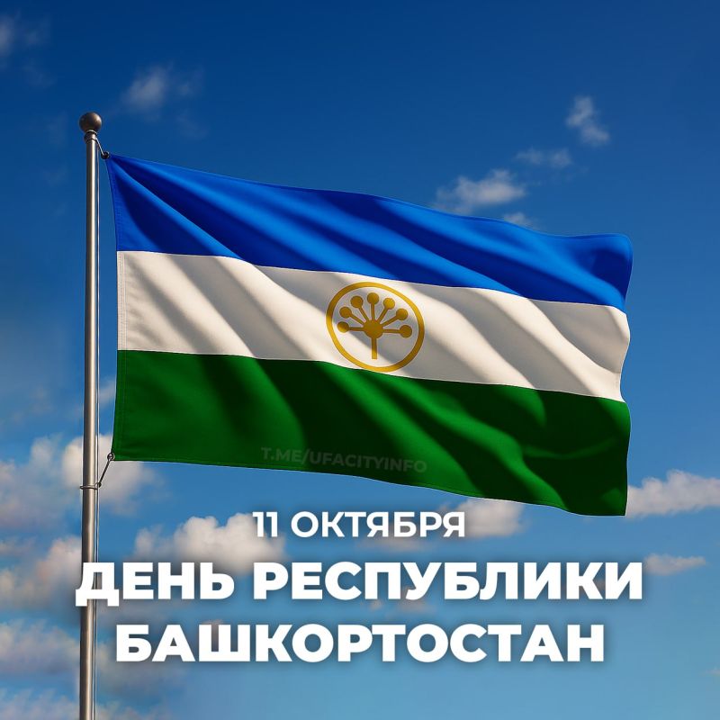 11  -   !