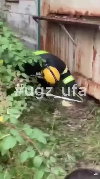 В Уфе спасатели вытащили раненую дворняжку из-под заброшенного киоска на территории завода