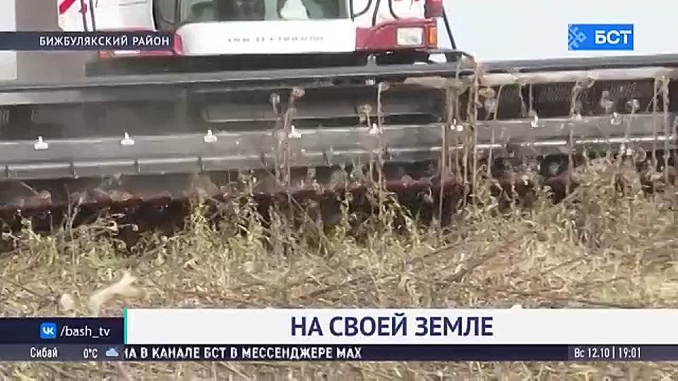 Работники сельского хозяйства Башкирии отмечают профессиональный праздник