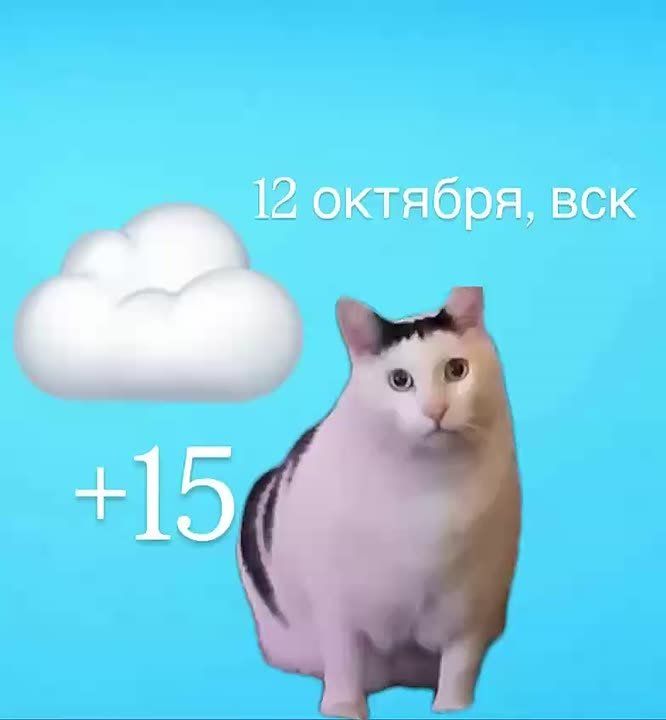 Доброе утро! Сегодня облачно