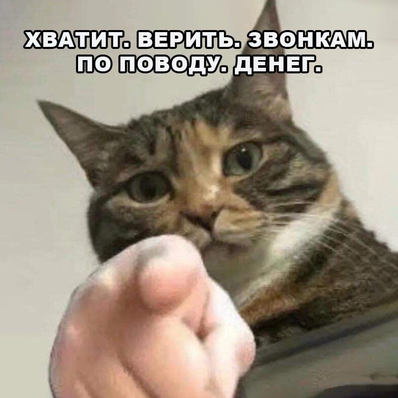    + 