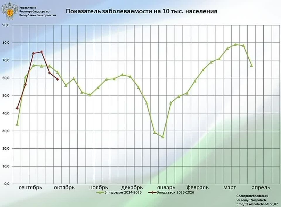 Вторую неделю отмечается снижение заболеваемости респираторными инфекциями
