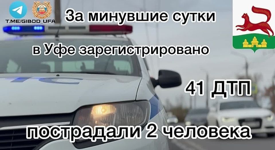           41 - ,  2 