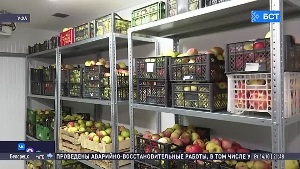 В Башкирии запускают производство чайных напитков