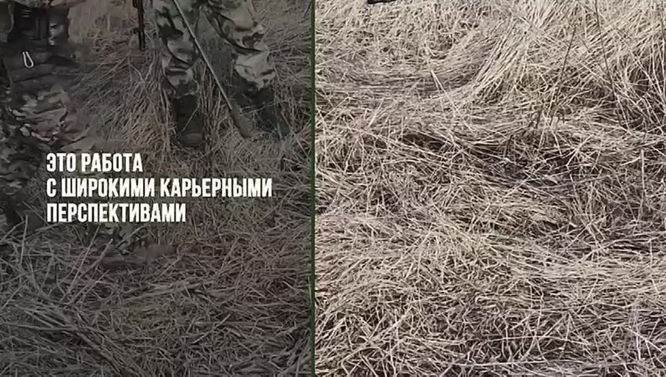 Успей заключить контракт и получить достойную зарплату и социальные гарантии для всей семьи