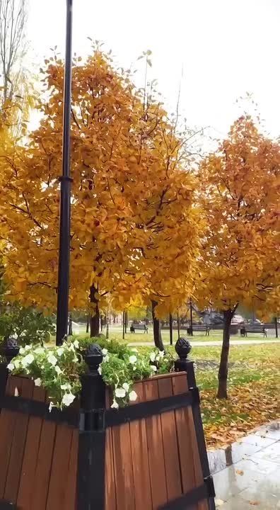 , #любимаяУфа. главы администрации Советского района Уфы Олега Котова Подпишись на Город Уфа в MAX