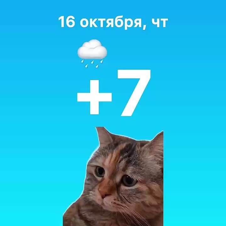 Сегодня в Уфе дождливо и пасмурно