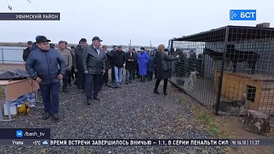 Под Уфой прошло совещание по вопросам содержания бездомных животных