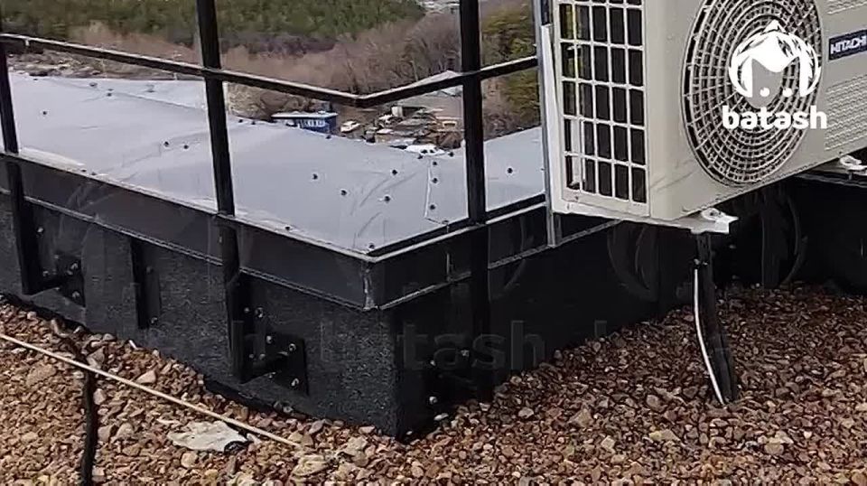 Вороны обстреляли с воздуха машины на Зорге В Уфе