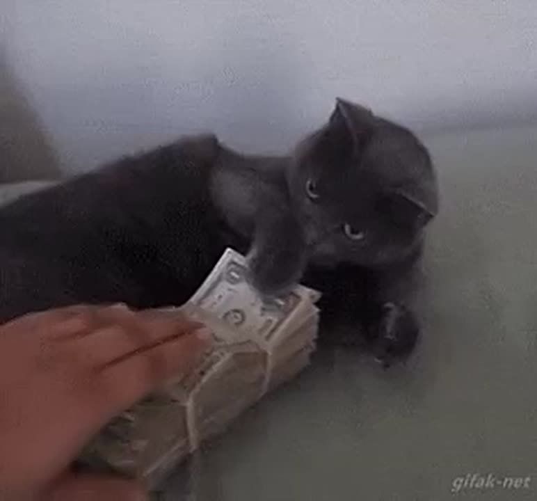 В МВД рассказали, что необходимо сделать, если на карту пришли деньги от неизвестного