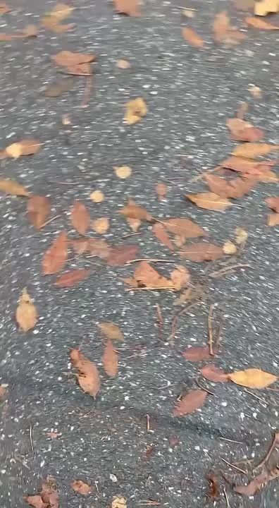 В Уфе водитель влетел в дерево возле дома