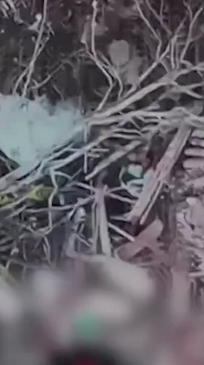    :.        149       , 1  ,       4  ...