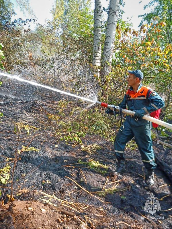        6380 ,    162 ,      - 146 