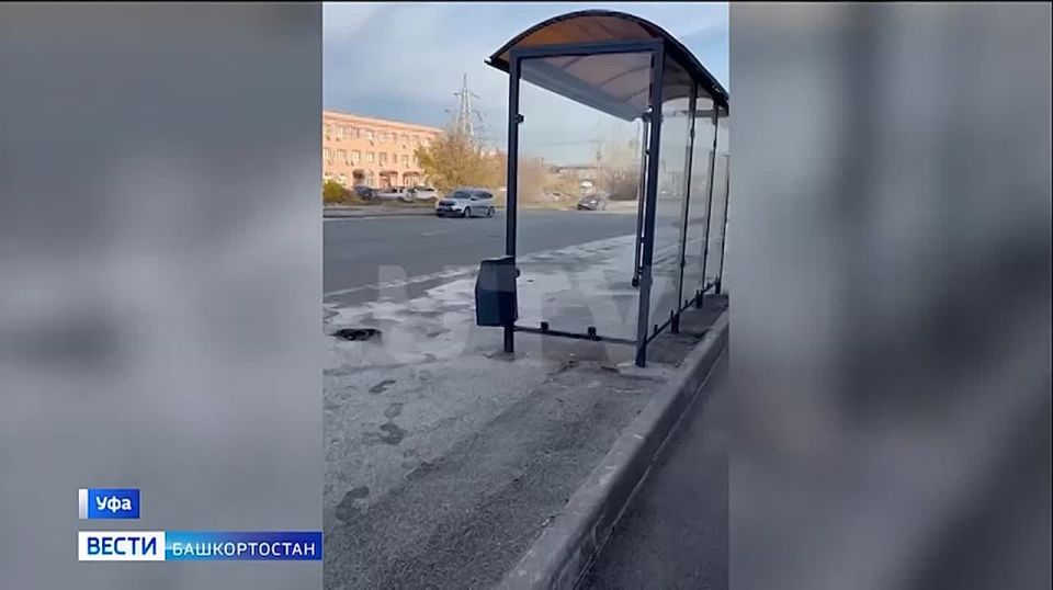 В Уфе выпал «дождь из опилок»