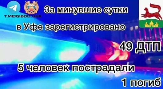           49 - ,  5 , 1 
