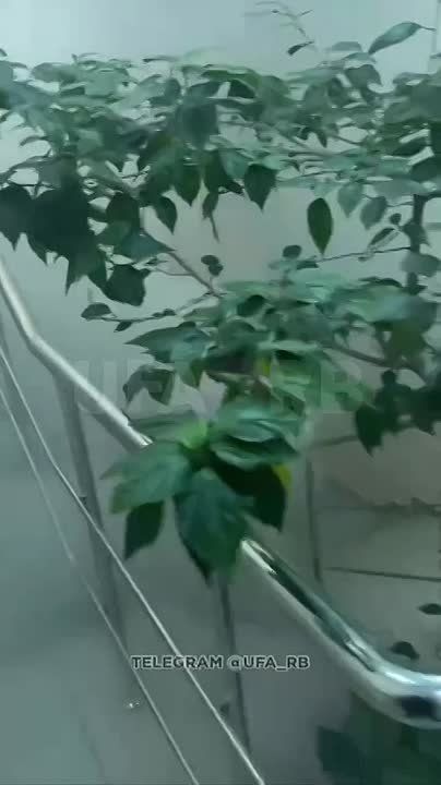 В МЧС опровергли информацию о пожаре в уфимском техникуме