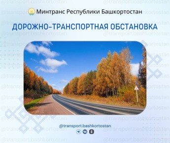 Дорожно-транспортная обстановка в Республике Башкортостан по состоянию на 08:00 часов 23 октября 2025 года