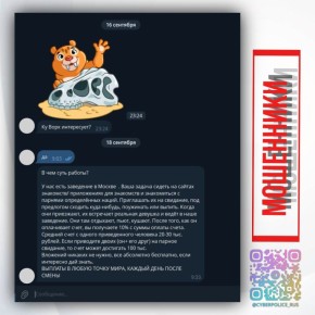 Вербовка в данную преступную схему выглядит относительно безобидно — в мессенджере предлагают «работу»: сидеть на сайтах знакомств, приглашать мужчин на свидание и получать 10 % от суммы счёта «за приведённого клиента»