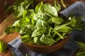 Шпинат на подоконнике: вкусный и полезный урожай круглый год