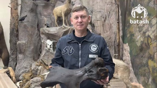 15 тысяч лет — примерный возраст костей, найденных рыбаком в Кушнаренковском районе