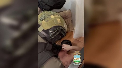 В Башкортостане задержан подозреваемый в публичных призывах к осуществлению деятельности, направленной против безопасности государства