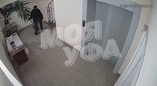 Учитель тех самых грабителей Лувра