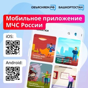 У МЧС России есть свое мобильное приложение – оно станет вашим личным помощником при чрезвычайной ситуации