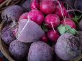 Как свекла находит идеальных соседей: секреты успешного урожая
