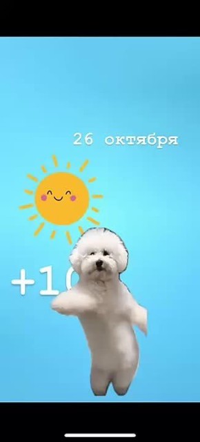 Доброго солнечного утра!