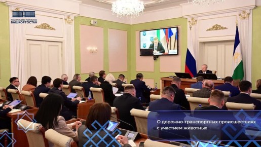 В Правительстве Башкортостана обсудили ситуацию с ДТП с участием животных