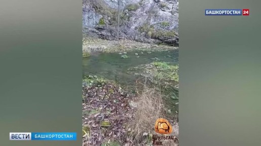 В Башкирии у пещеры Шульган-Таш заметили авиаводников