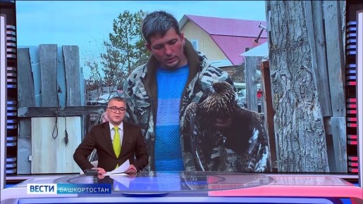 Зооспасатели: «Вести» узнали, как выхаживают диких животных, оказавшихся в неестественной среде обитания