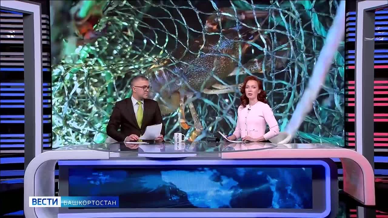 Сотни раколовок на дне озера: в Кандрыкуле процветает браконьерство