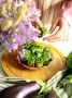 Вкусные рулеты из баклажанов: закуска по-грузински для вашего стола